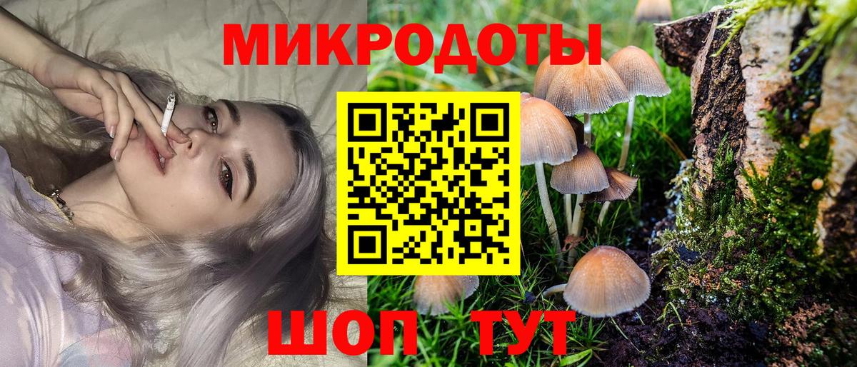 Владимир  Псилоцибиновые грибы ЛСД  Вход с VPN 