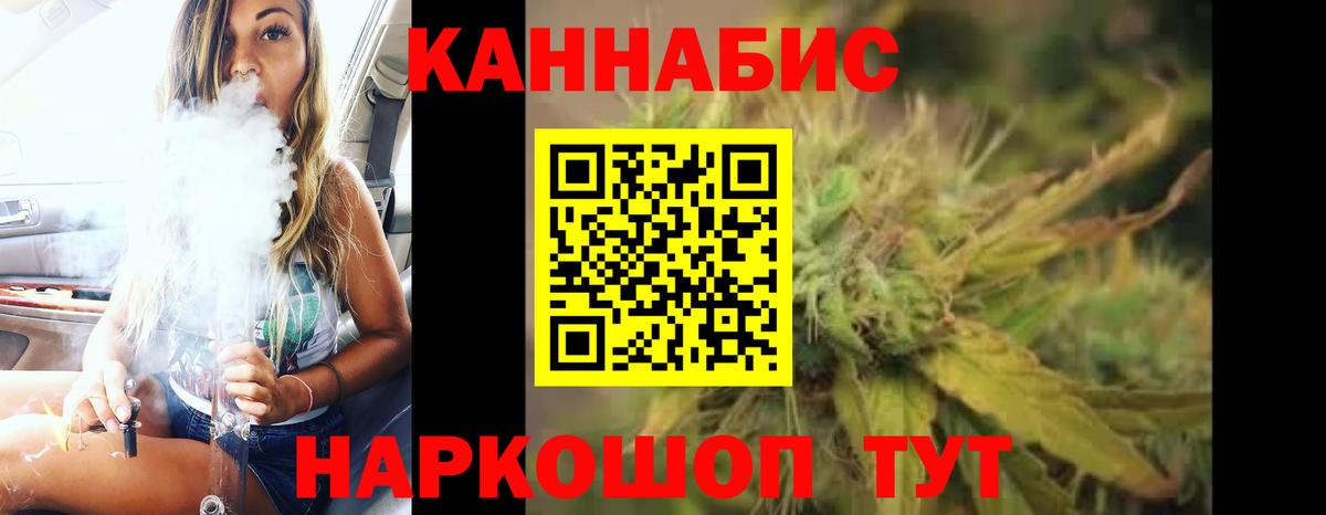 Бошки Шишки тримм Владимир